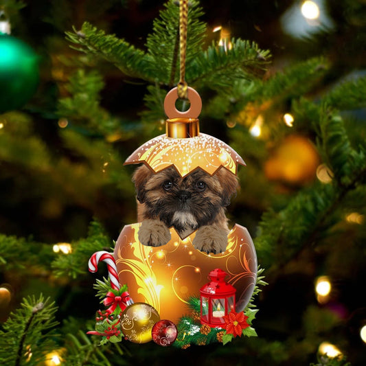 Shih Tzu In in Golden Egg Christmas Ornament, Flat Acrylic Dog Ornament OO2030