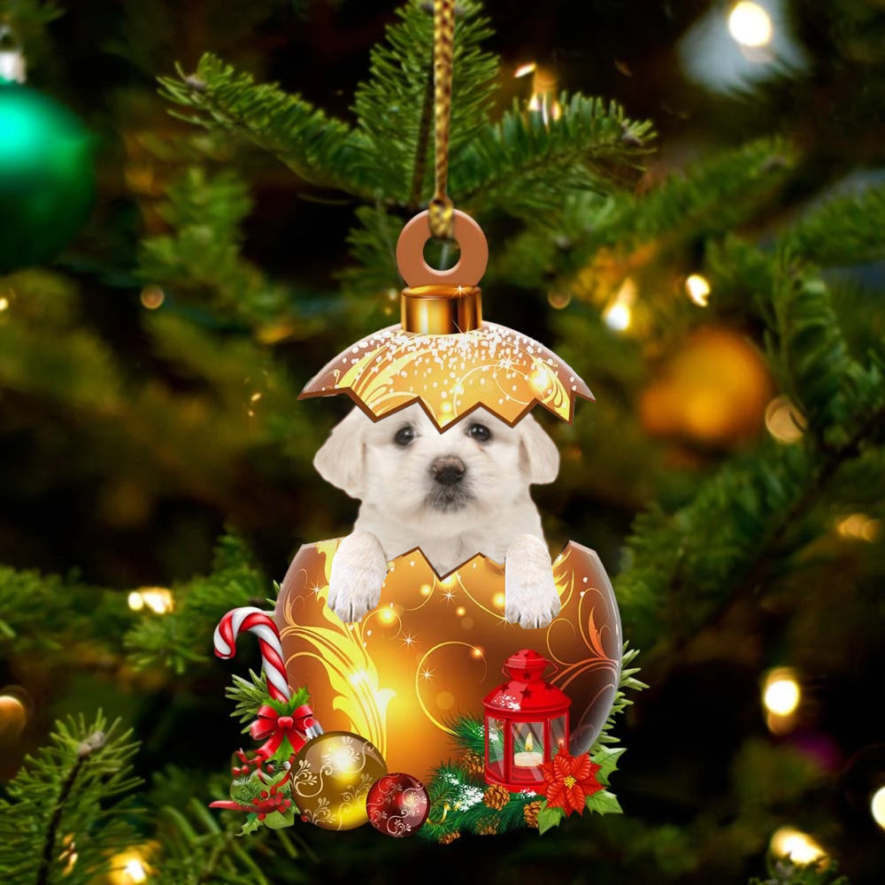 Maltese2 In in Golden Egg Christmas Ornament, Flat Acrylic Dog Ornament OO2001