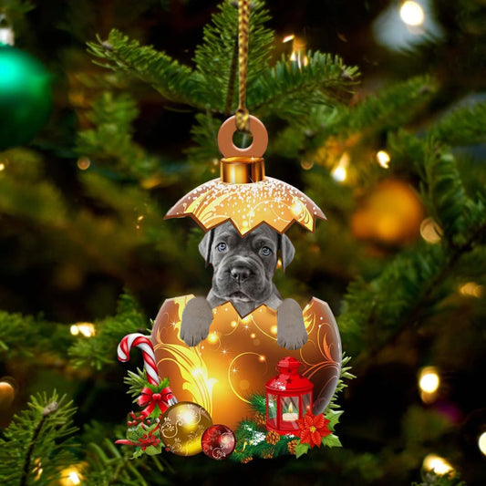 Cane Corso In in Golden Egg Christmas Ornament, Flat Acrylic Dog Ornament OO1997