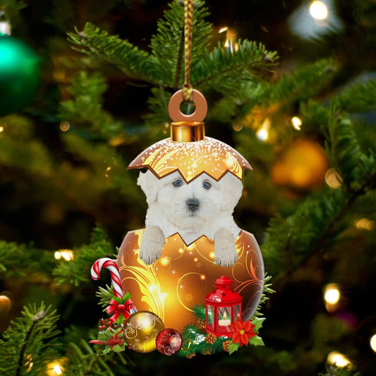 Maltipoo In in Golden Egg Christmas Ornament, Flat Acrylic Dog Ornament OO1988