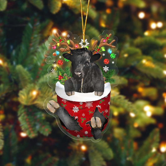 Lasfour Dexter In Pocket Christmas Ornament Flat Acrylic Farmhouse Ornament OO4301