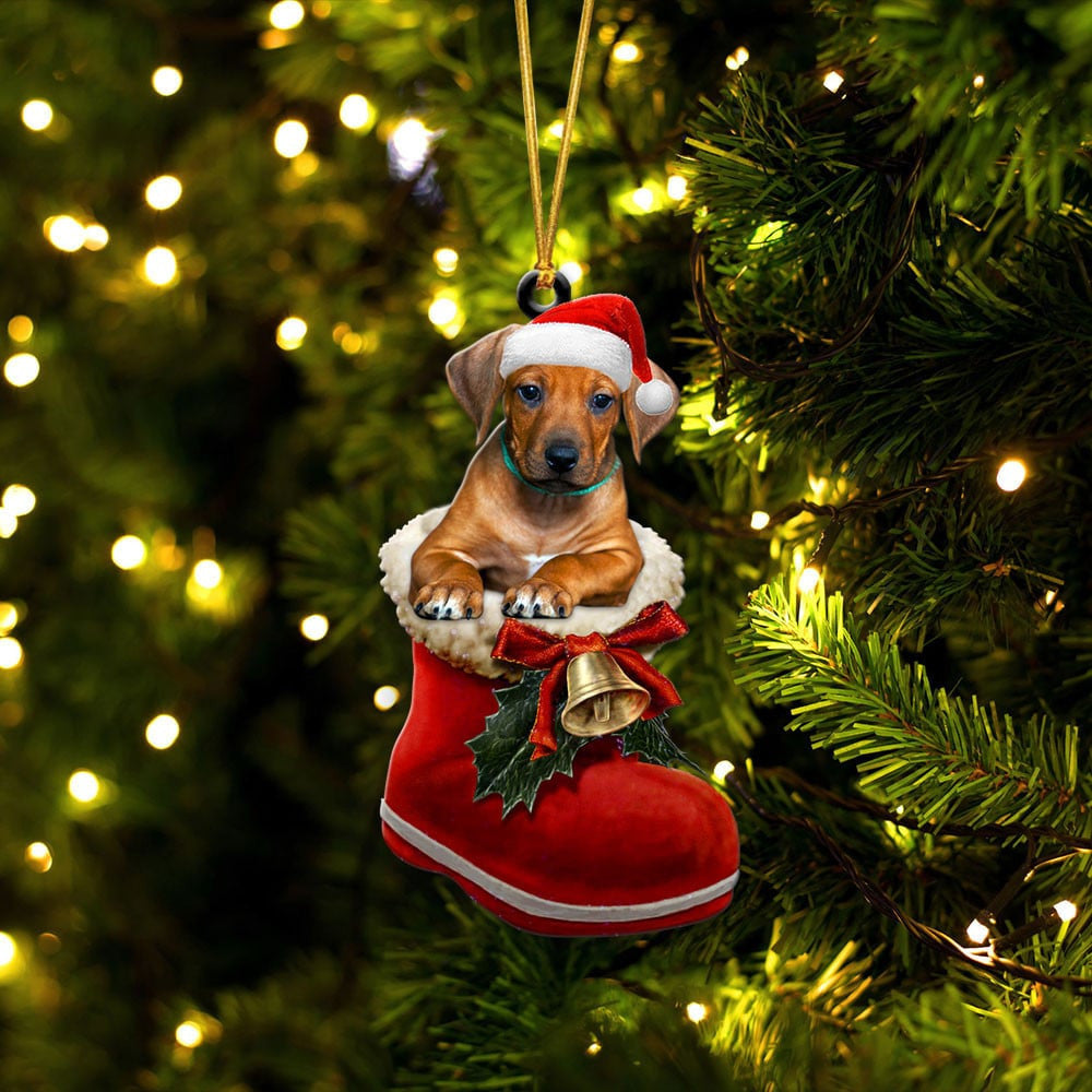 Rhodesian Ridgeback In Santa Boot Christmas Two Sided Ornament OO4158 ...