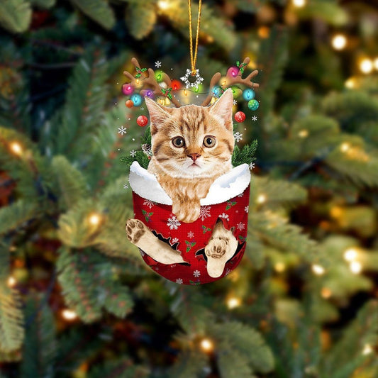 Funny Yellow Cat In Snow Pocket Christmas Ornament Flat Acrylic Cat Ornament OO3847
