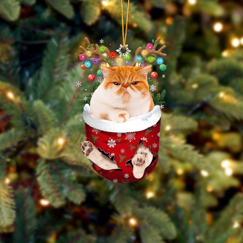 Funny Yellow Cat In Snow Pocket Christmas Ornament Flat Acrylic Cat Ornament OO3847