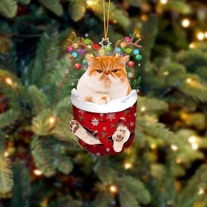 Funny Yellow Cat In Snow Pocket Christmas Ornament Flat Acrylic Cat Ornament OO3847