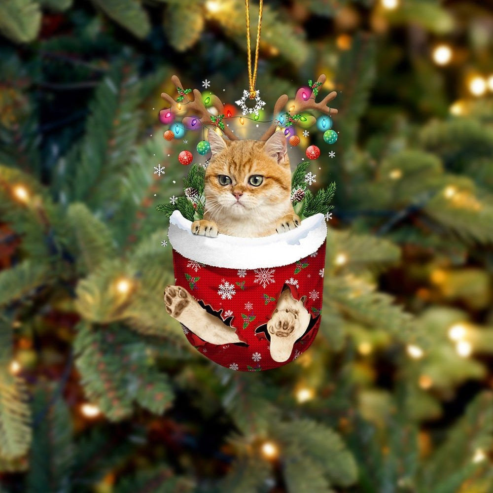 Funny Yellow Cat In Snow Pocket Christmas Ornament Flat Acrylic Cat Ornament OO3847