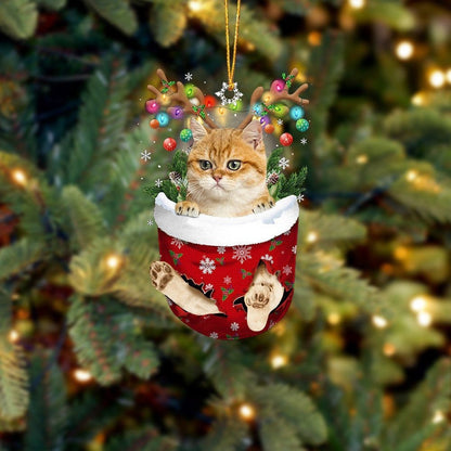 Funny Yellow Cat In Snow Pocket Christmas Ornament Flat Acrylic Cat Ornament OO3847