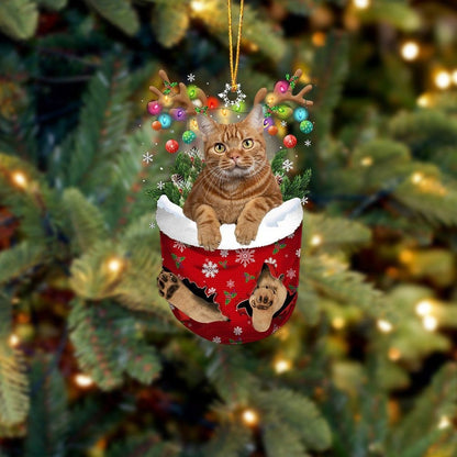 Funny Brown Cat In Snow Pocket Christmas Ornament Flat Acrylic Cat Ornament OO3846