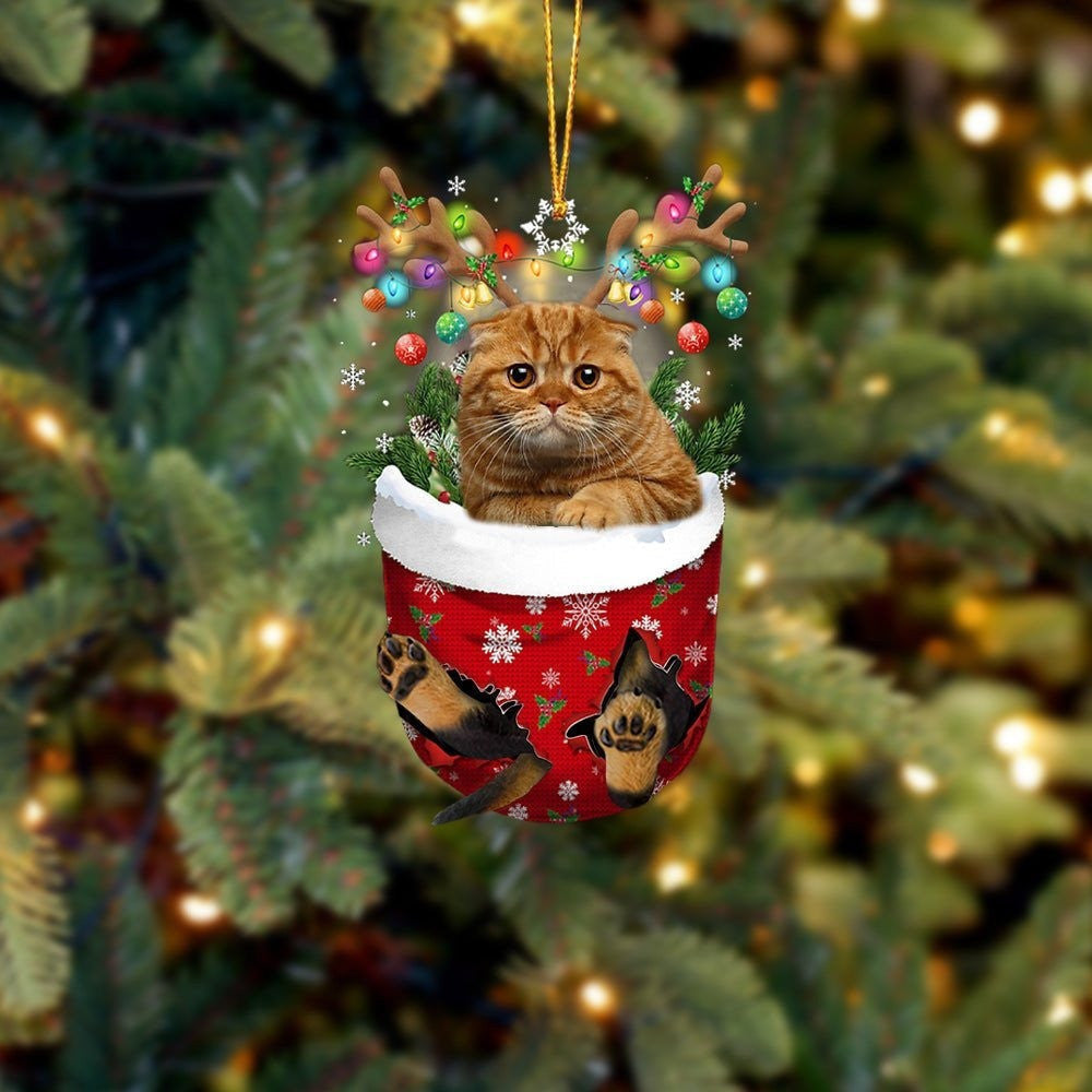 Funny Brown Cat In Snow Pocket Christmas Ornament Flat Acrylic Cat Ornament OO3846