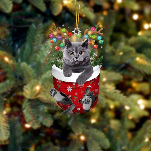 Funny Egyptian Mau Cat In Snow Pocket Christmas Ornament Flat Acrylic Cat Ornament OO3845