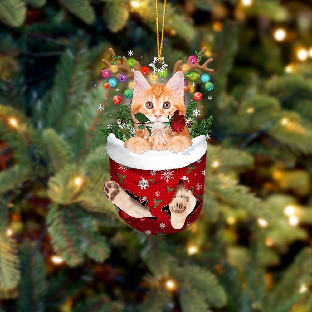 Funny Maine Coon Cat In Snow Pocket Christmas Ornament Flat Acrylic Cat Ornament OO3843