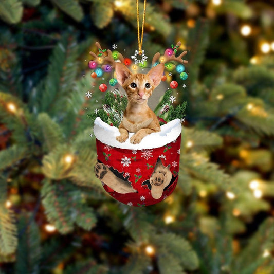 Funny Cat Oriental Shorthair In Snow Pocket Christmas Ornament Flat Acrylic Cat Ornament OO3841
