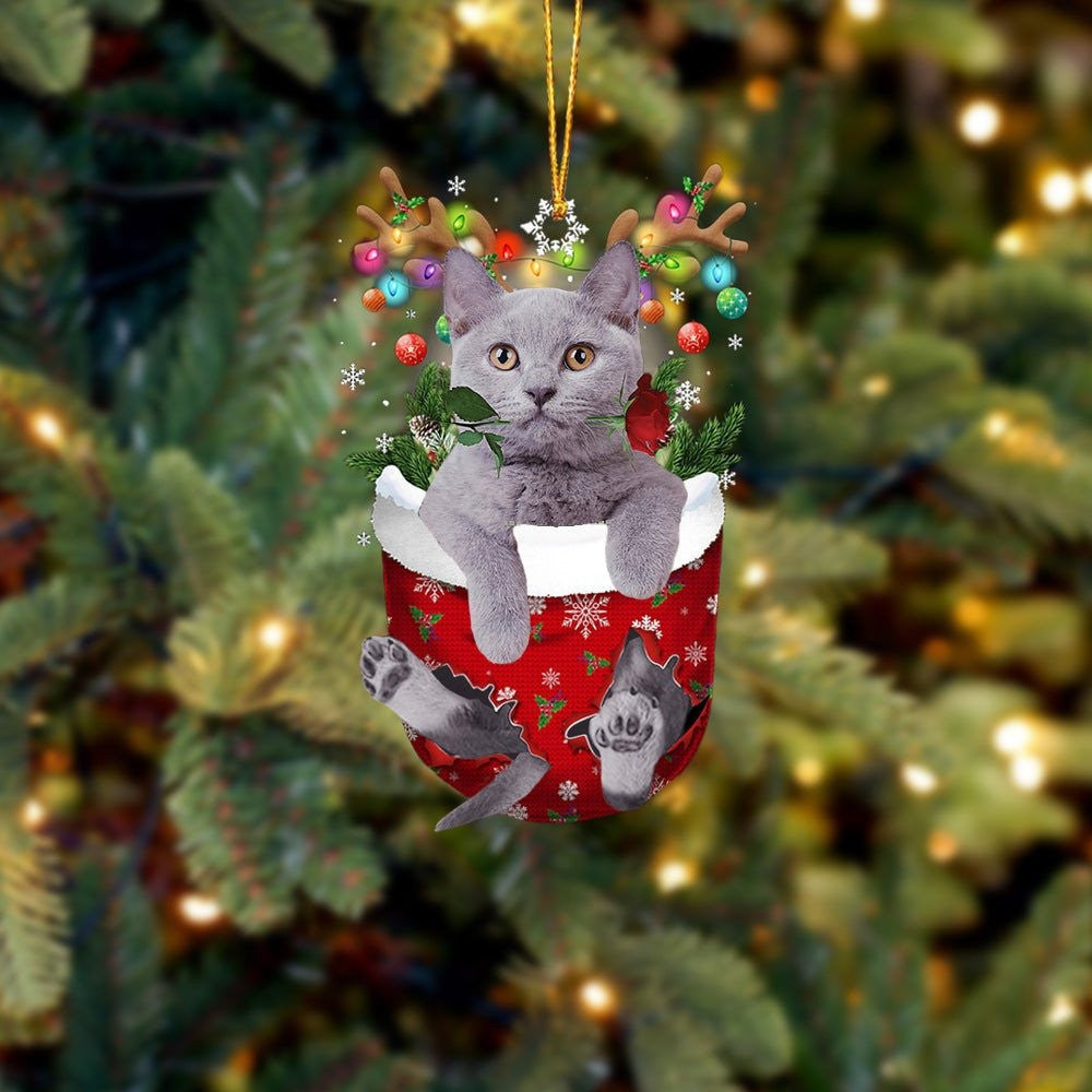 Funny British Shorthair In Snow Pocket Christmas Ornament Flat Acrylic Cat Ornament OO3840