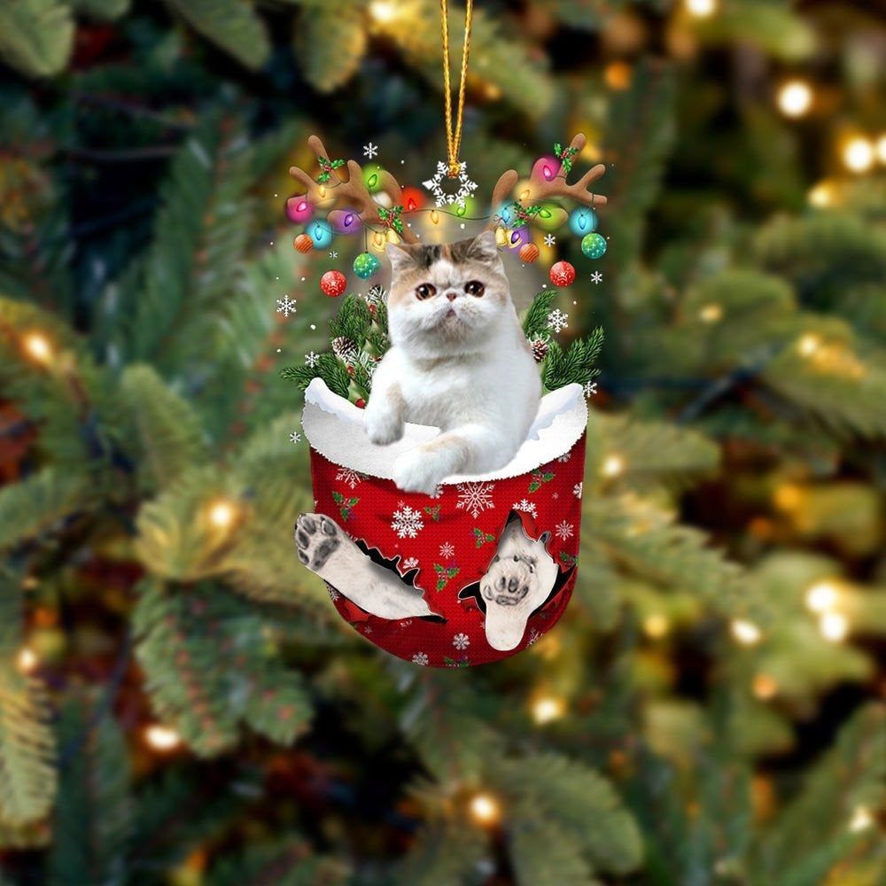 Funny Exotic Shorthair In Snow Pocket Christmas Ornament Flat Acrylic Cat Ornament OO3838