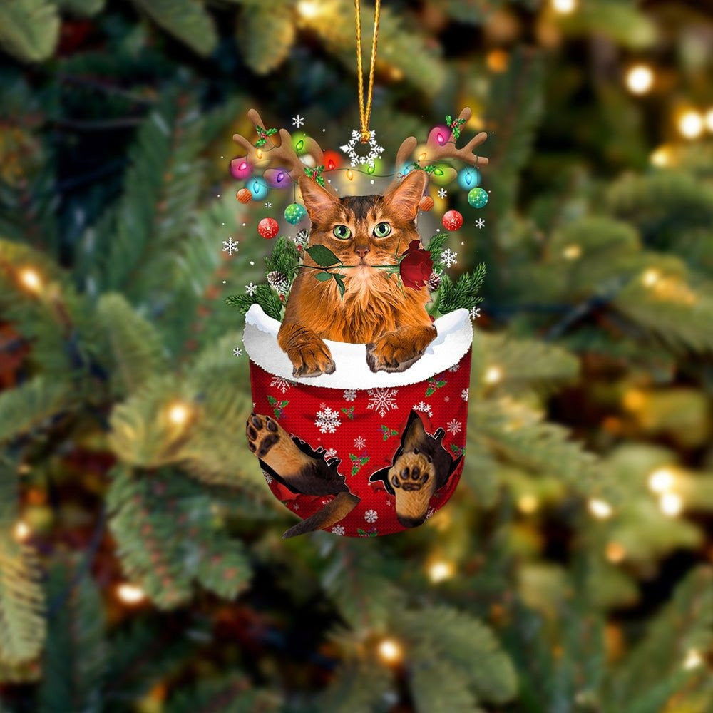 Funny Somali Cat In Snow Pocket Christmas Ornament Flat Acrylic Cat Ornament OO3833