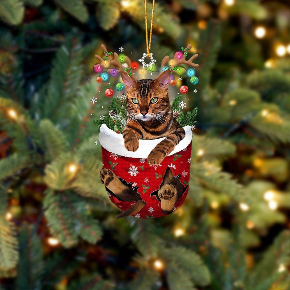 Funny Cat Tiger In Snow Pocket Christmas Ornament Flat Acrylic Cat Ornament OO3828