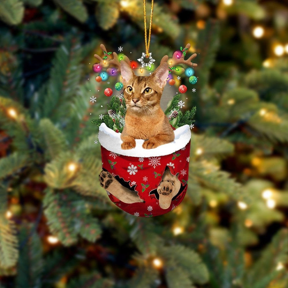 Funny Cat Abyssinian In Snow Pocket Christmas Ornament Flat Acrylic Cat Ornament OO3827