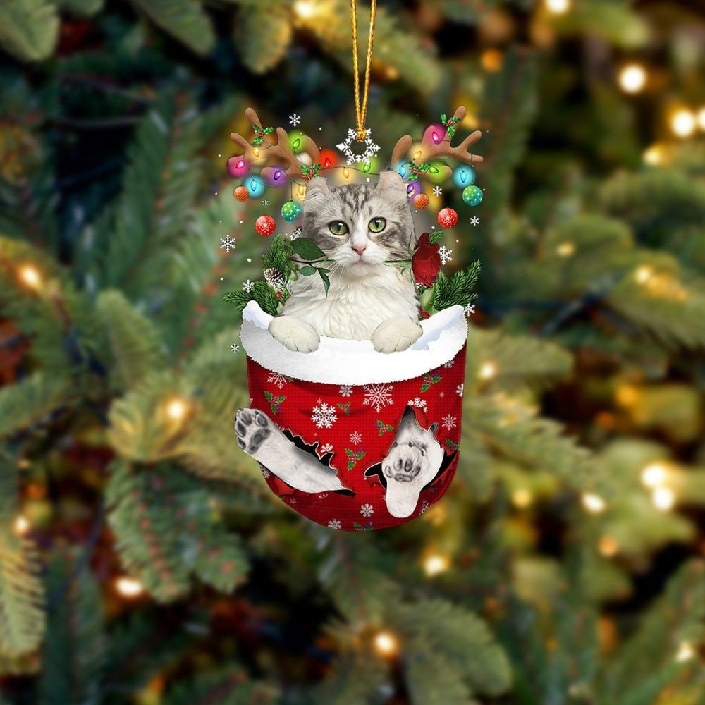 American Curl Cat In Snow Pocket Christmas Ornament Flat Acrylic Cat Ornaments OO3820