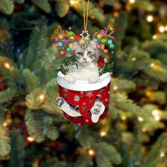 American Curl Cat In Snow Pocket Christmas Ornament Flat Acrylic Cat Ornaments OO3820