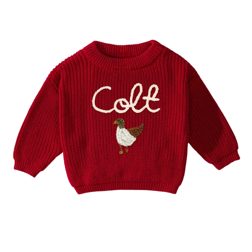 Custom Name Mallard Duck Baby Embroidered Sweater, Personalized Hand Embroidered Duck Sweater For Baby BB0122