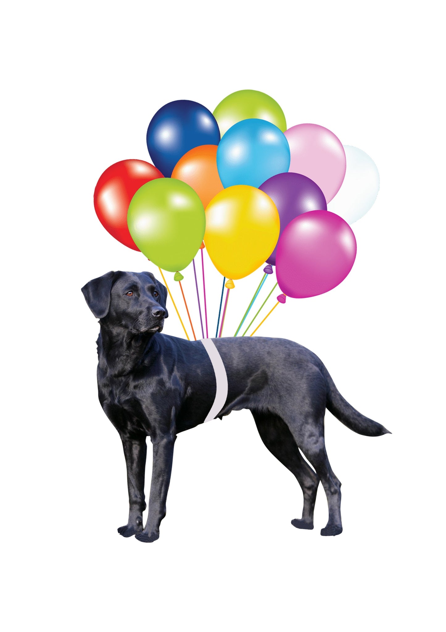 Black Labrador Fly With Bubbles Hanging Ornament Dog Ornament Lasfour OO0796