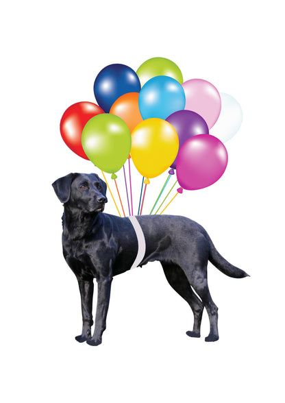 Black Labrador Fly With Bubbles Hanging Ornament Dog Ornament Lasfour OO0796