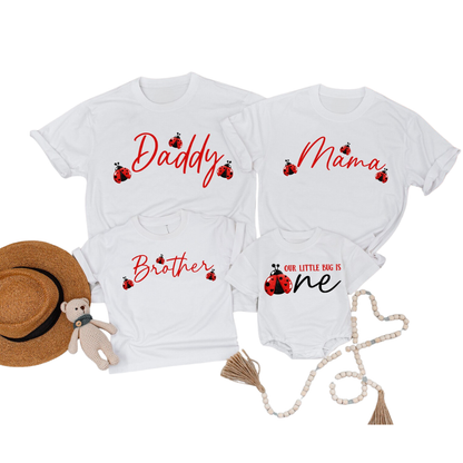 Ourr Little Big Is One Personalized Ladybug First Birthday Family T Shirt, Custom 1st Birthday Ladybug Family Shirts ET1189