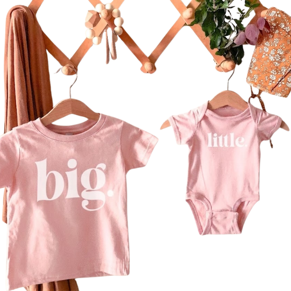Big Middle Little Littlest Matching Sibling T Shirt, Baby Reveal Sibling Shirts For Family ET1261
