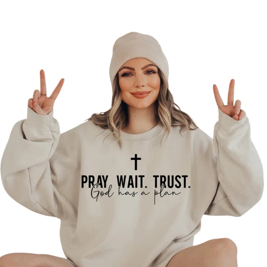Pray Wait Trust God Has A Plan Sweatshirt, Faith Christian Sweatshirt 2D0283