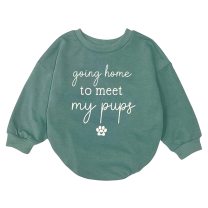 Baby Going Home to Meet My Pups Romper Sweatshirt, Funny Dog Lover Baby Romper Sweatshirt BB0111