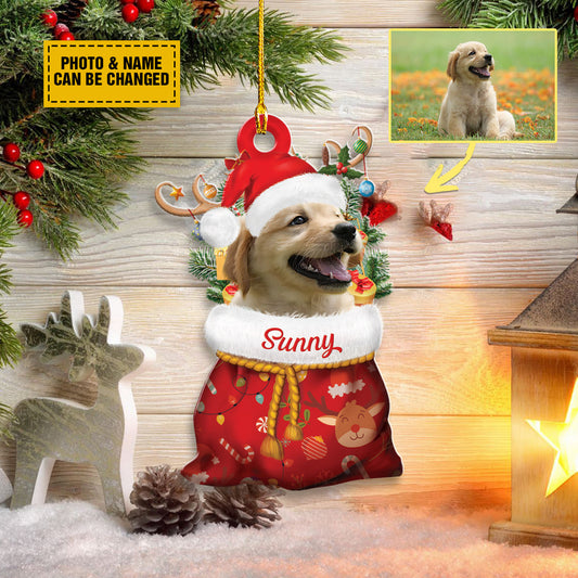 Personalized Pet Photo Santa Sack Christmas Ornament, Pet With Christmas Hat And Antlers Gift For Christmas OO1602