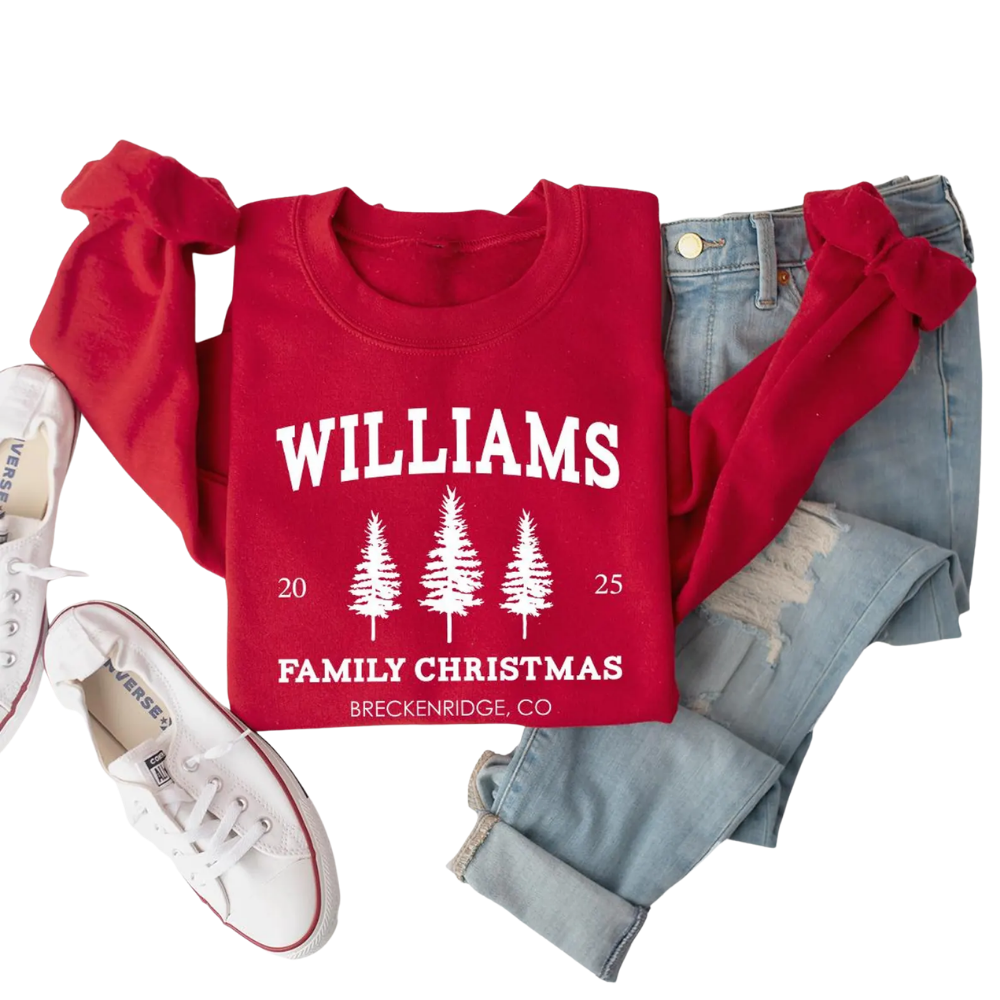 Personalized Family Name Christmas Sweatshirts Matching, Custom Christmas Family Sweatshirt ET1338
