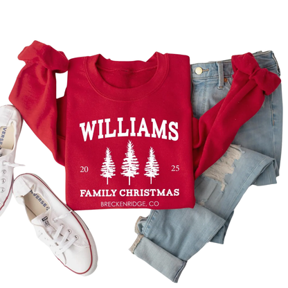 Personalized Family Name Christmas Sweatshirts Matching, Custom Christmas Family Sweatshirt ET1338