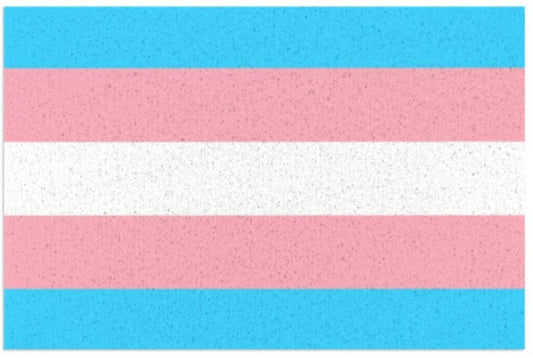 Indoor Outdoor Entrance Pride Mat, Doormat Trans Transgender Pride Door Mat Indoors 16X24 Inch LO1368
