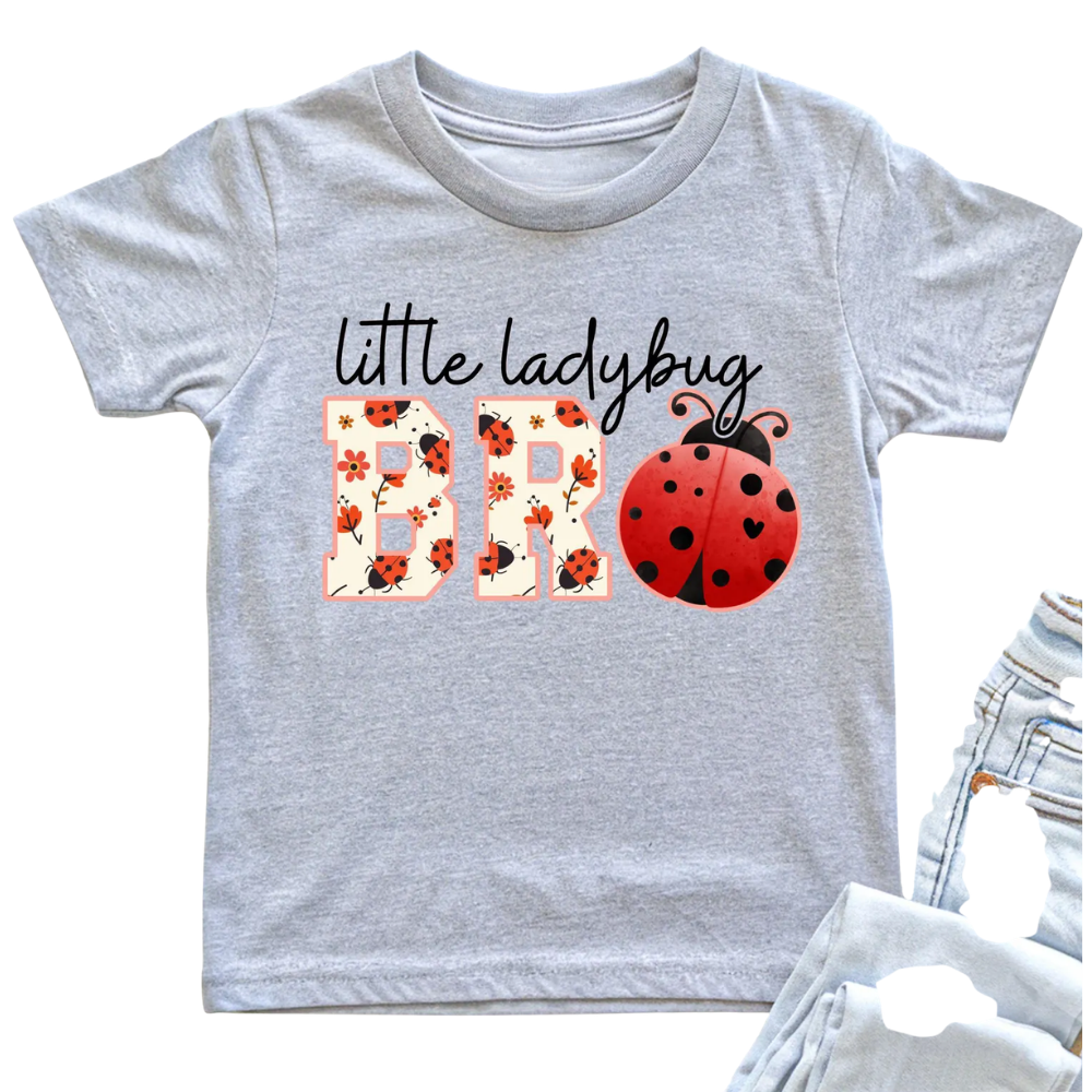 One Little Ladybug First Birthday Family Matching T Shirt, 1st Birthday Ladybug Family Shirts ET1270