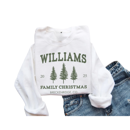Personalized Family Name Christmas Sweatshirts Matching, Custom Christmas Family Sweatshirt ET1338