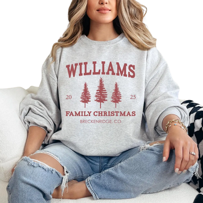 Personalized Family Name Christmas Sweatshirts Matching, Custom Christmas Family Sweatshirt ET1338