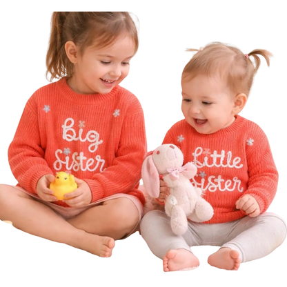 Big Sister Little Sister Baby Embroidered Knit Sweater, Sister Sibling Baby Sweatshirt BB0795