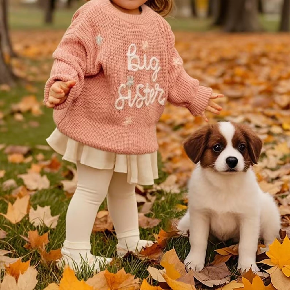Big Sister Little Sister Baby Emnbroidered Knit Sweater, Sister Baby Sweatshirt BB0760