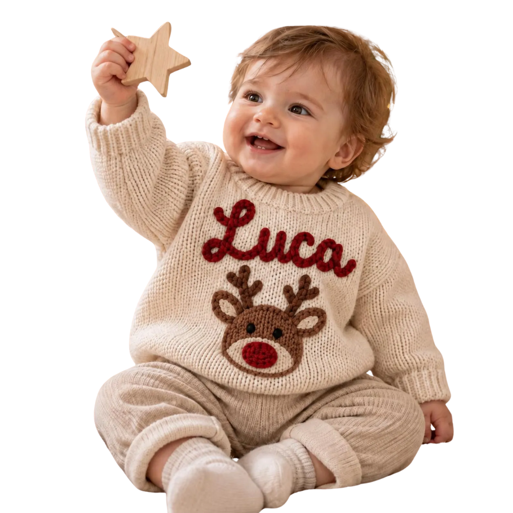 Reindeer Custom Name Baby Embroidered Knit Sweater, Custom Christmas Baby Embroidered Sweatshirt BB0902