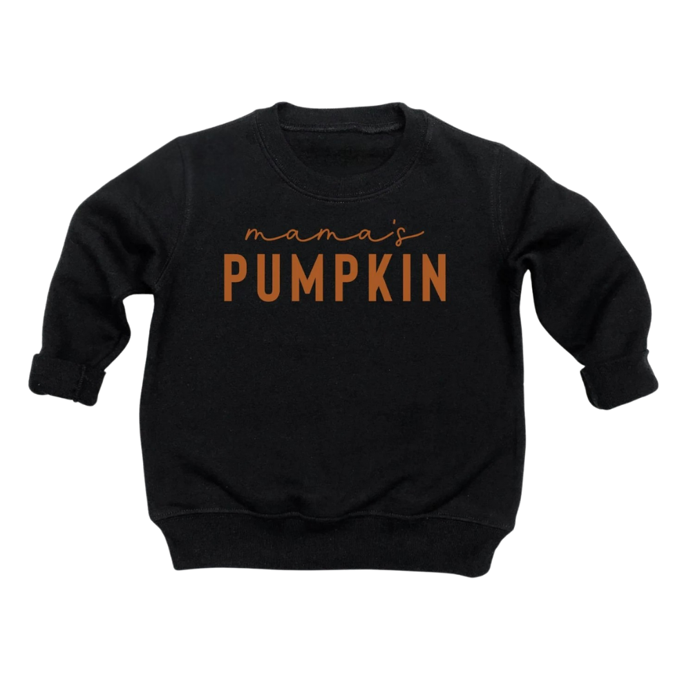 Mama And Mama's Pumpkin Sweatshirt, Matching Thanksgiving Sweatshirt Mommy And Mini ET1559