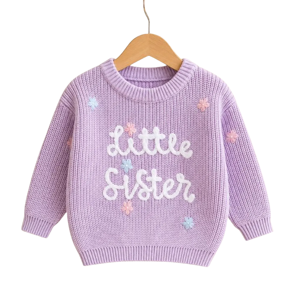 Big Sister Little Sister Baby Embroidered Knit Sweater, Sister Sibling Baby Sweatshirt BB0795