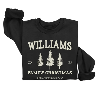 Personalized Family Name Christmas Sweatshirts Matching, Custom Christmas Family Sweatshirt ET1338