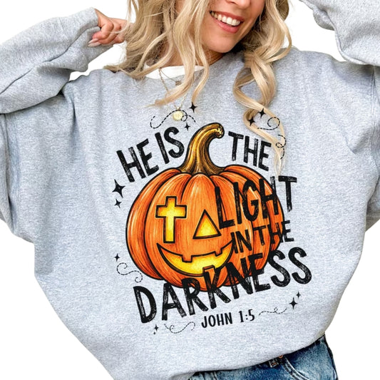 He Is The Light In The Darkness John 1:5 Sweatshirt, Halloween Christian Sweatshirt 2D0989