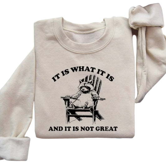 It Is What It Is And It Is Not Great Sweatshirt, Funny Raccoon Sweatshirt 2D0753