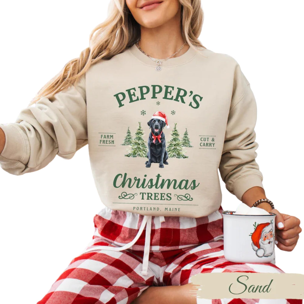 Custom Labrador Retriever Christmas Sweatshirt, Custom Christmas Sweatshirt For Dog Lover 2D0564