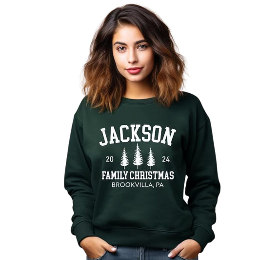 Custom Family Christmas Sweatshirt, Custom Christmas Sweatshirt 2D0442