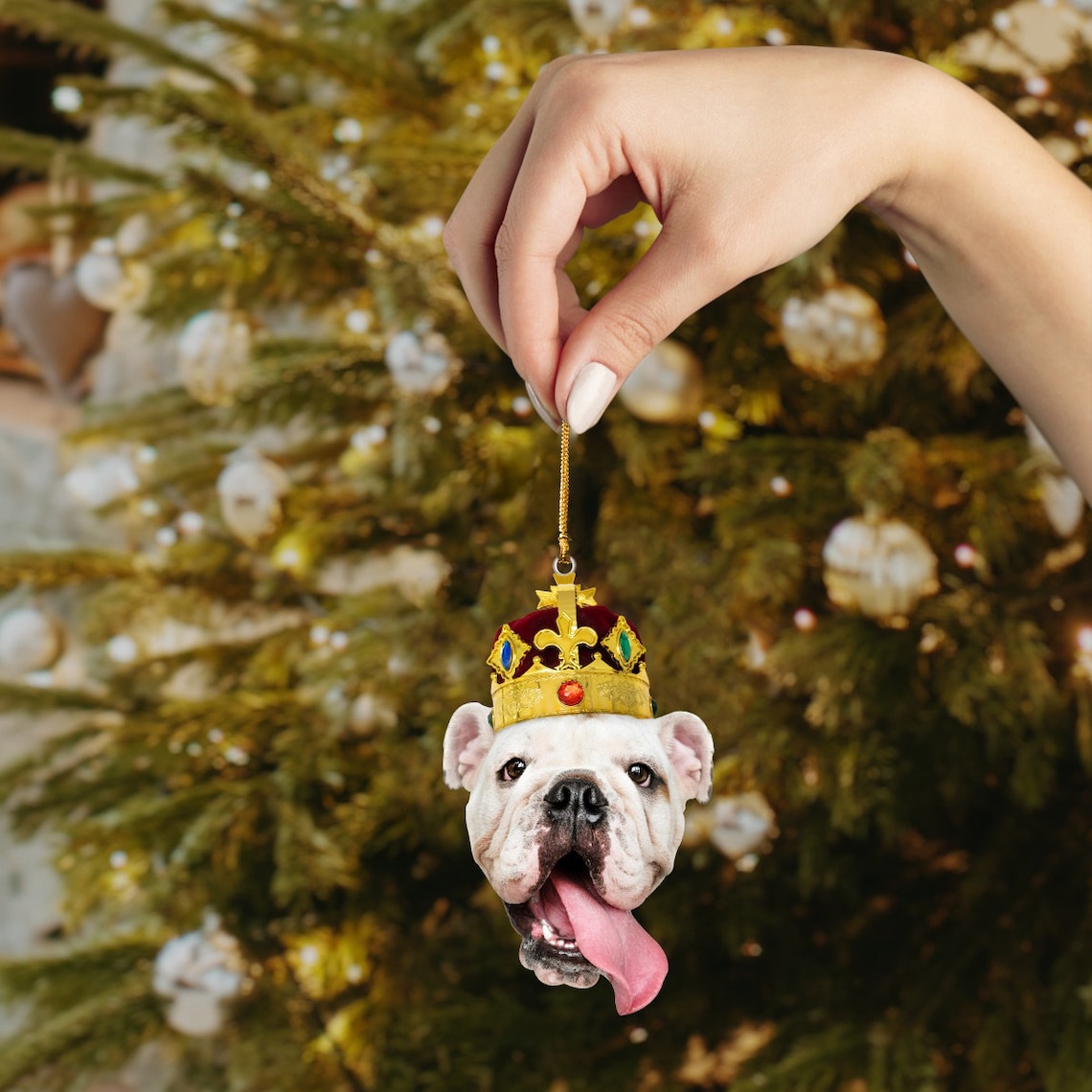 Personalized Photo Ornament, Funny Christmas Ornament, Custom Face Picture Ornament, Acrylic Pet Ornament, Christmas Decor, Holiday Gifts OO1596