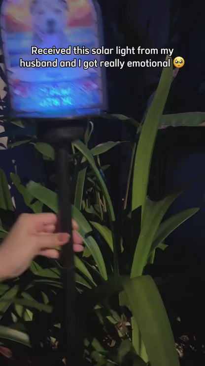 Custom Loss of Pet I'm Always With You Photo Solar Garden Light, Personalized Pet Memorial Light, Pet Remembrance Gift, Pet Sympathy Gift SGL0006