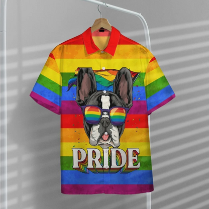 Ally Pride 3D Shirt Awesome Background Design Hawaiian Shirt, Hawaiian Pride HO5466